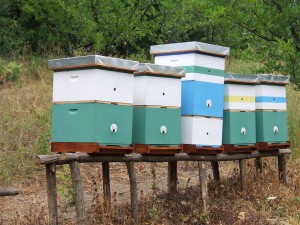 Pčelinjak selu Bastav