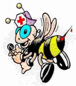 apiterapia+a+domicilio+terapia+con+abejas+valparaiso+valparaiso+chile__7801B_1